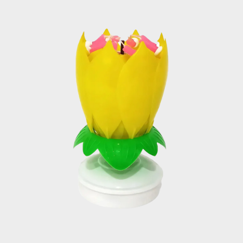 FlowerCandle – La Bougie Magique d’Anniversaire