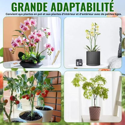 PlantGuard™ - Kit de Tuteurs Premium pour Plantes